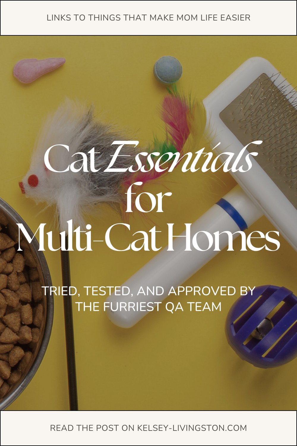 cat essentials for multi cat homes